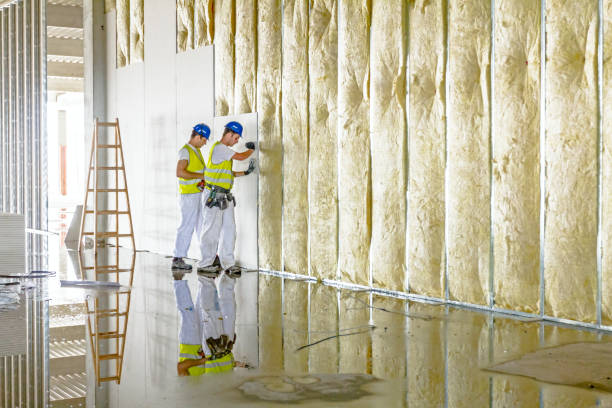 Best Insulation Materials and Products in Aledo, TX